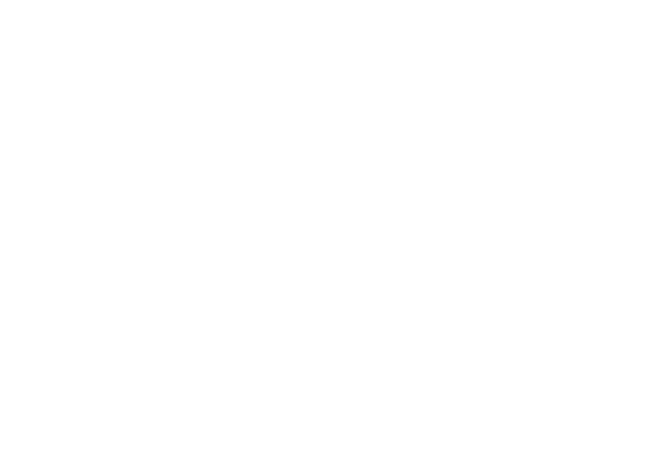 Frapic Logo Font